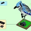 Птицы (LEGO 21301)