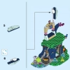Тайная лечебница Розалин (LEGO 41187)