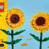 Подсолнухи (LEGO 40524)