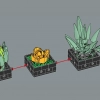 Суккуленты (LEGO 10309)