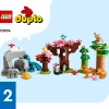 Дикие животные Азии (LEGO 10974)