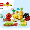 Органический сад (LEGO 10984)
