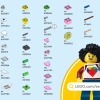 Цветы лотоса (LEGO 40647)