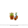 Миниатюрные растения (LEGO 10329)