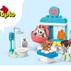 Визит в ветеринарную клинику (LEGO 10438)