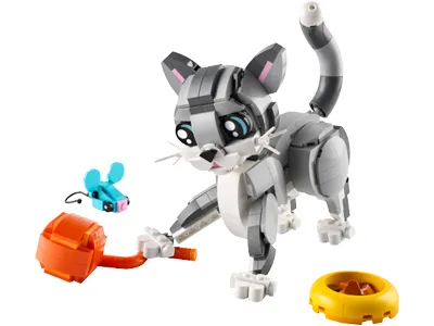 Игривый котенок