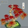 Бонсай из японского красного клена (LEGO 10348)