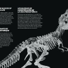 ЛЕГО 76968 инструкция - книга 1 страница 006