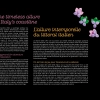 ЛЕГО 21359 инструкция - книга 1 страница 006